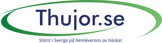 Thujor.se